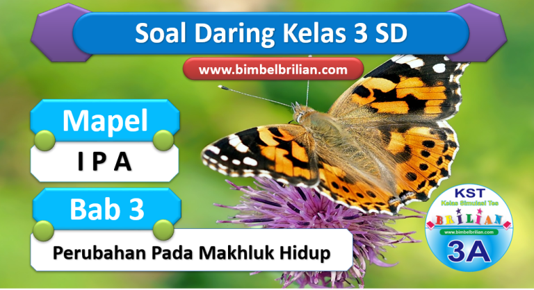 Keajaiban Perubahan: Mengenal Makhluk Hidup di Sekitar Kita